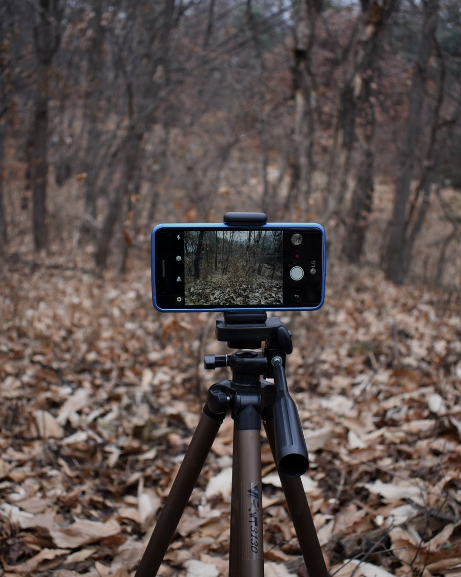 A phone mounted on a tripod, recording alone.